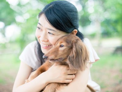 ペット保険の内容と金額を徹底比較